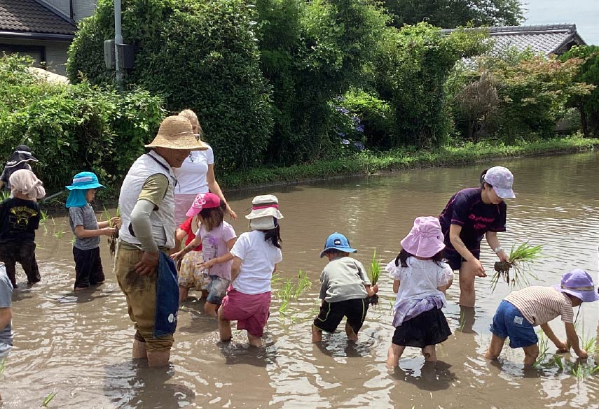 田植えをする生徒たちの写真